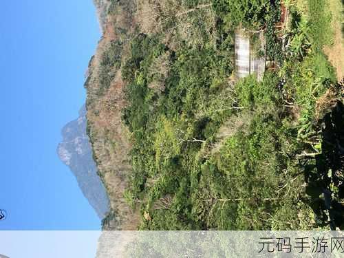 五指山百擞今日黑料，五指山传说：百年秘境探险