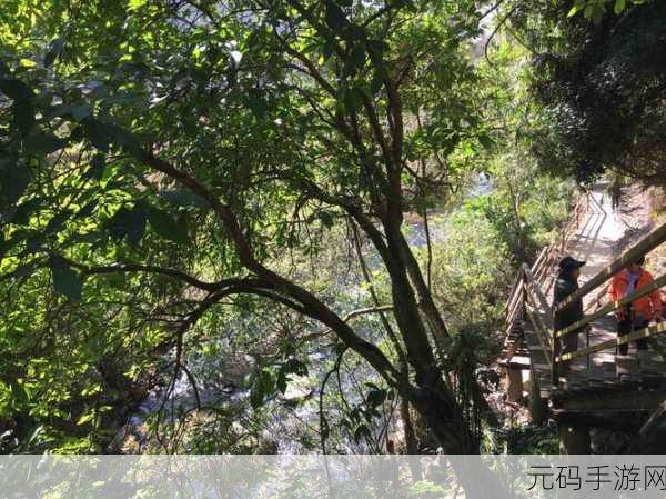 五指山百擞今日黑料，五指山传说：百年秘境探险