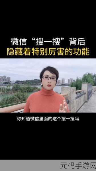 轻松找到微信搜一搜功能,详细指南与技巧
