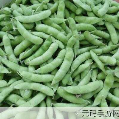 毛豆免费卡密,毛豆特权码领取