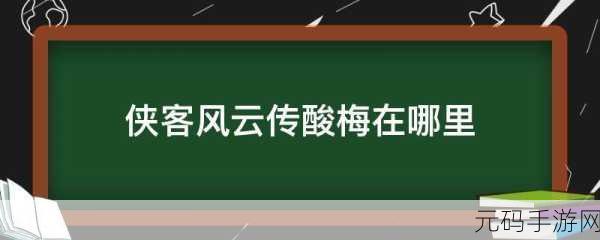 侠客风云传手游酸梅作用深度解析,解锁隐藏剧情与属性提升的秘籍