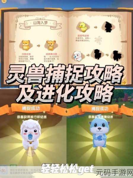 手游资讯，摩尔庄园新增宠物草莓蜂捕捉全攻略