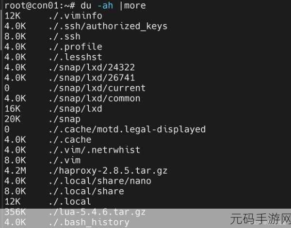探秘,Linux du 命令能否成功导出?