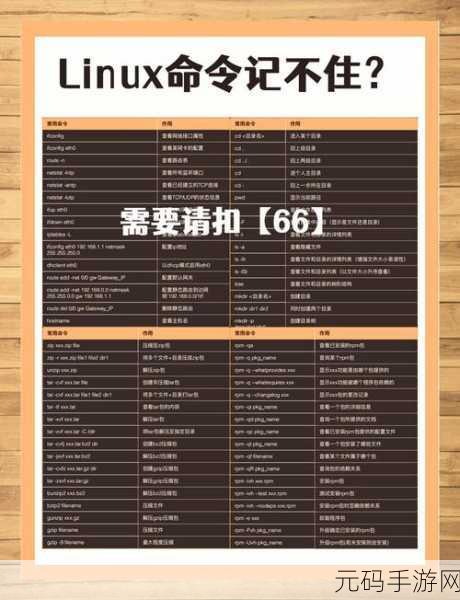 Linux SSH 命令性能优化秘籍大公开