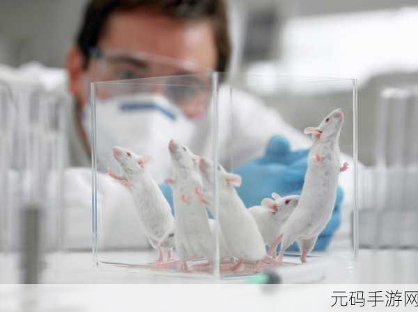 Abw实验4痉挛口吐白沫,实验室小白鼠的奇妙冒险