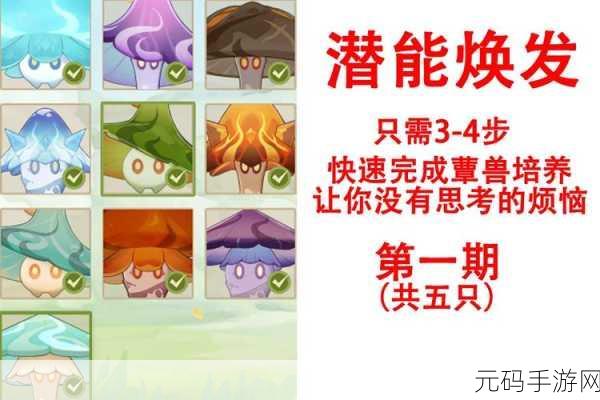 原神智巧灵蕈大竞速,全新玩法攻略与深度解析