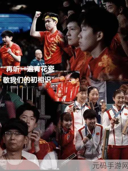 王楚钦取关孙颖莎，震惊！国乒CP粉碎？王楚钦孙颖莎关系成谜