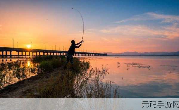 疯狂骑士团,鳄鱼钓技巧深度揭秘,助你成为钓鱼大师