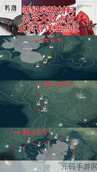 手游资讯,探索鸣潮云芝刷新点位,解锁珍稀材料获取秘籍