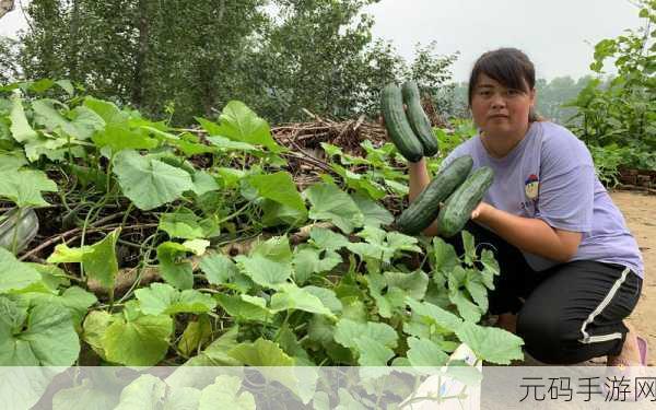 51吃瓜每日大瓜往期回顾,瓜圈速递:今日热瓜回放