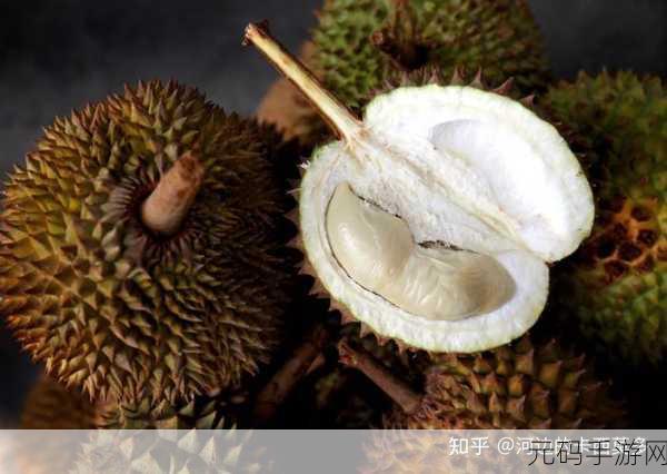榴莲app官方下载ios版最新版,榴莲视频-超多精彩内容随心看