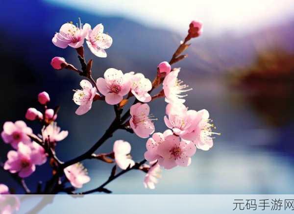 桃色盛宴，桃花仙境