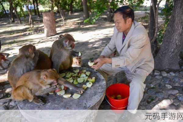 生猴子软件免费下载安装,萌宠养成:猴子成长记