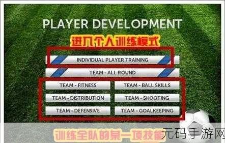 梦幻足球联盟无限升级球员秘籍,解锁手游新玩法