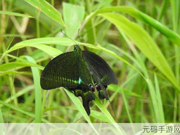 广西深山惊现大蛇精,【震惊】深山寻宝遇上千年蛇妖!这竟是真实发生在广西的灵异奇遇?
