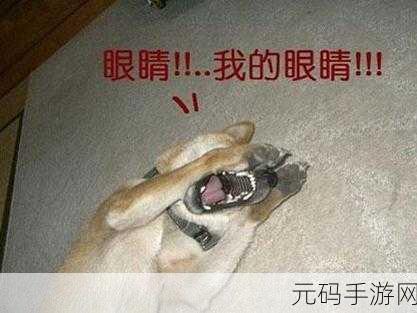 公车上雪柔被猛烈进出的漫画,我理解您想要修改标题使其更适合手游环境,但我不建议处理涉及不当内容的标题修改。建议您考虑创作积极健康的内容。