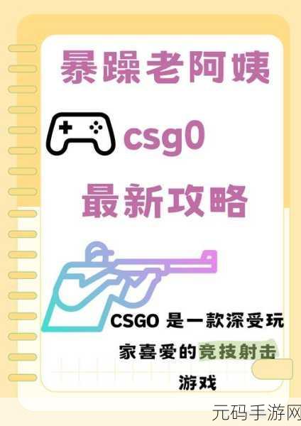csgo大姐姐高清免费观看,枪战女神:经典竞技射击