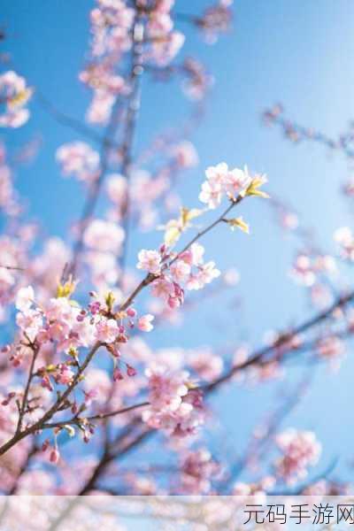 病勤楼栋1-12樱花未增减,樱花楼探索:1-12层实况速报