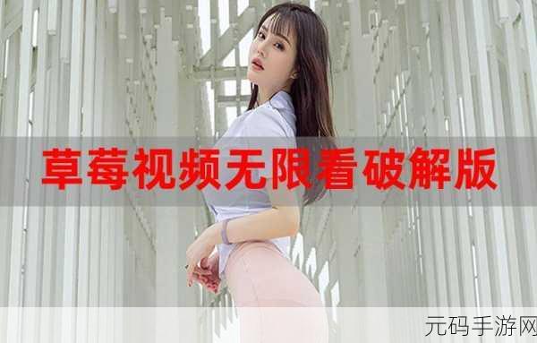 草莓软件无限激活,草莓助手永久会员版