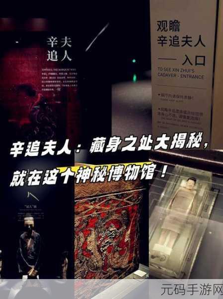 懒人听书下载音频的神秘藏身之处大揭秘
