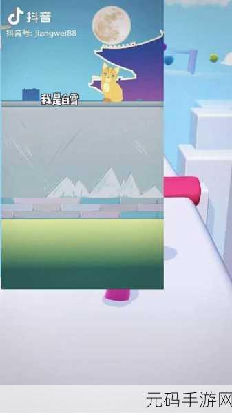 两只小兔子在衬衫里抖来抖去,萌宠兔兔的换装日记