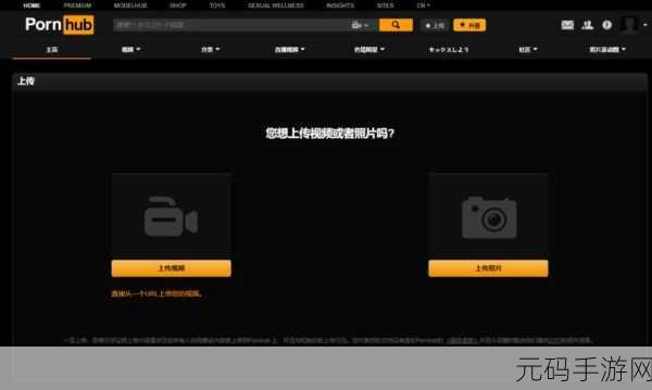 成人无码WWW免费视频网站软件,成年人休闲娱乐视频社区APP