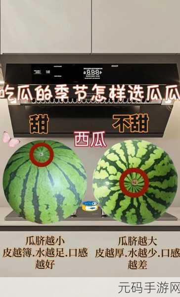 91吃瓜今日吃瓜必吃,91瓜瓜-今日热门八卦
