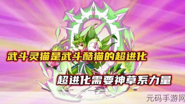 探寻优品灵猫世界的奥秘,深度解析灵猫品种及游戏玩法