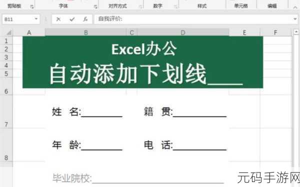 轻松搞定 Excel 文字下划线添加秘籍