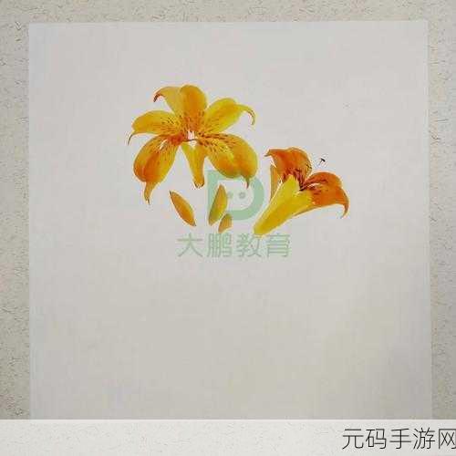 日本忘忧草乱码一二三四区别,忘忧草:最新版本区服选择指南