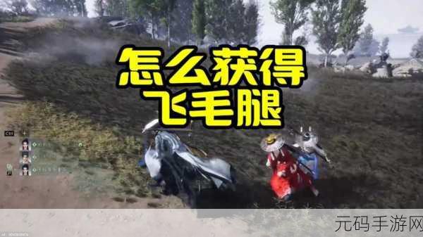 燕云十六声飞毛腿奇遇,探寻游戏中的速度与激情