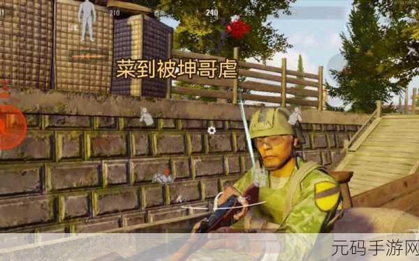 把坤放在定眼,坤式凝视