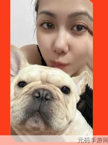 ZoomDog的最新版本，萌宠缩放大师：全新升级