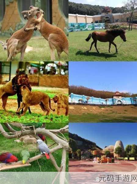 Zookeeper俄罗斯牧场,动物王国:梦幻牧场