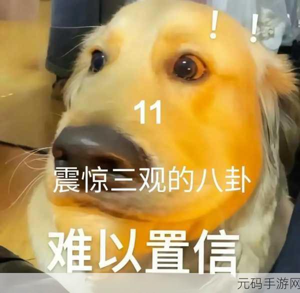 17一起吃瓜网官网,瓜瓜八卦社区