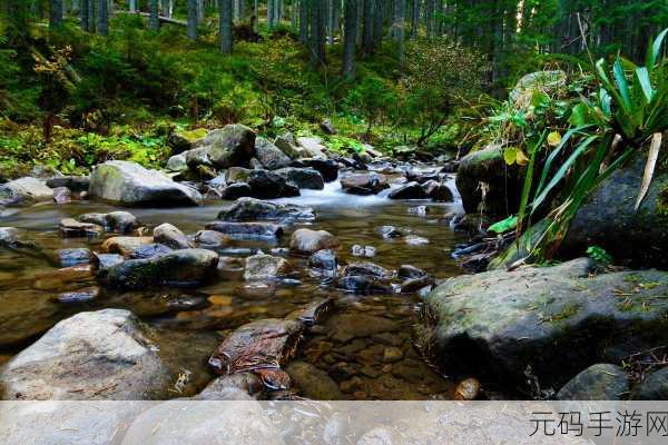 两峰夹小溪地湿,山谷溪流探险