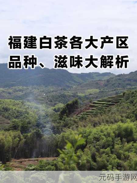 精产国品一二三产区区别视频,一二三产区大揭秘:轻松了解精品国产区别