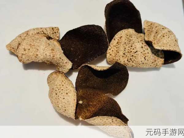 精产国品一二三产区区别视频,一二三产区大揭秘:轻松了解精品国产区别