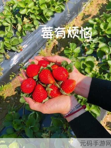 草莓破解无限量app,草莓畅玩版