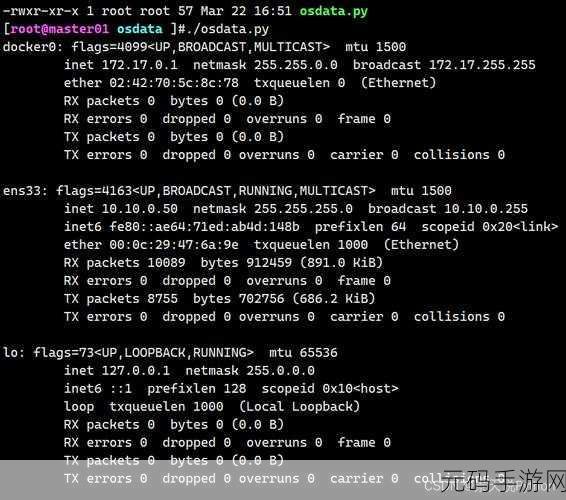 Linux 系统中 Python 版本的便捷查看之道
