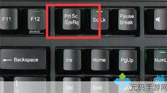 Win11 截图难题，prtsc 按键失效的完美解决攻略