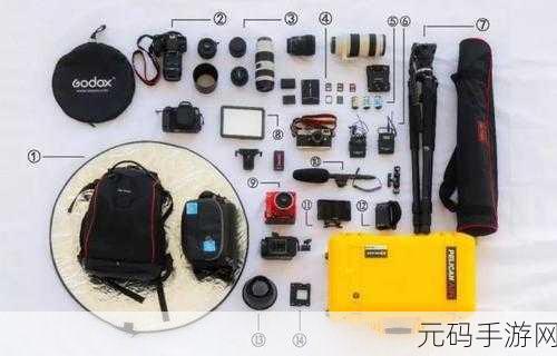 探秘 C中数据库连接与操作的秘籍