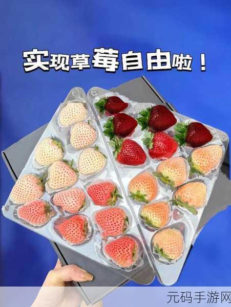 草莓视频呦呦资讯网,莓趣短视频