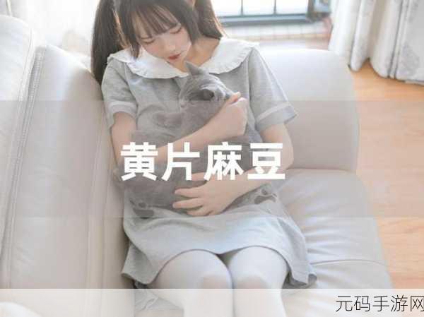 蔴豆视频入口,蔴豆视频