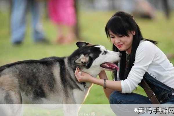 女子体内发现狗的dna,基因鉴定惊魂:神秘DNA背后的真相