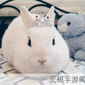 英语老师的大白兔在衣服里面抖来抖去,兔兔大作战:老师的秘密宠物