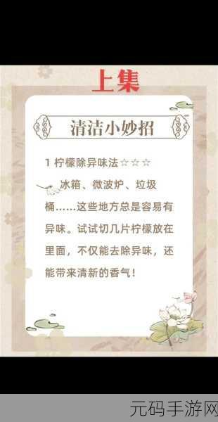 抓灰系列20篇,家务清洁小帮手 - 20个实用技巧