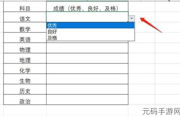 轻松掌握 Excel 单元格下拉菜单选项制作秘籍