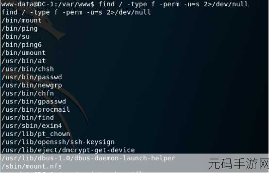 探索 PHP exec 处理守护进程的秘密之道