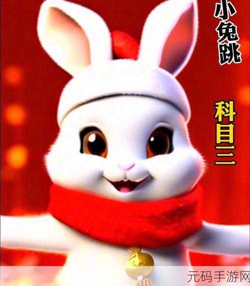 大兔子在衬衫里,萌宠兔兔换装记